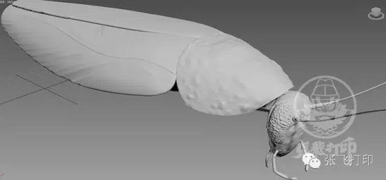 3D打印蟑螂小強誕生記(超精細) 妹紙膽小也可入
3D打印蟑螂,3D打印小強,3D打印技術(shù),3D打印服務(wù),3D打印平臺,e鍵打印