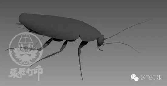 3D打印蟑螂小強誕生記(超精細) 妹紙膽小也可入
3D打印蟑螂,3D打印小強,3D打印技術(shù),3D打印服務(wù),3D打印平臺,e鍵打印