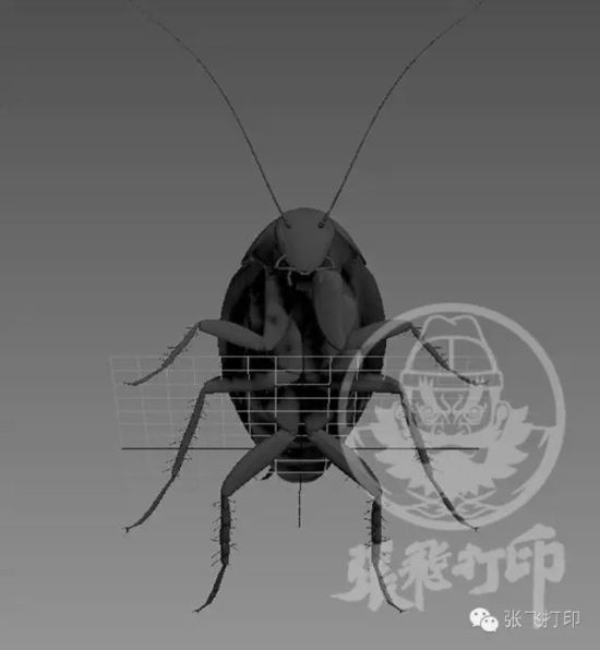 3D打印蟑螂小強誕生記(超精細) 妹紙膽小也可入
3D打印蟑螂,3D打印小強,3D打印技術(shù),3D打印服務(wù),3D打印平臺,e鍵打印