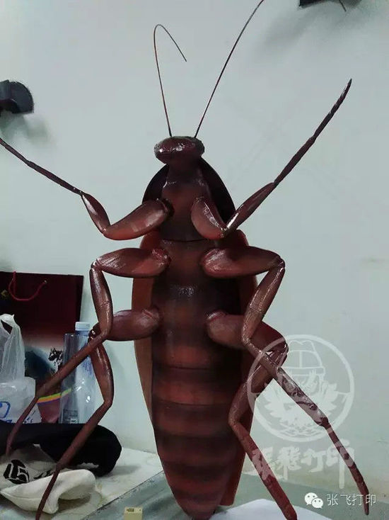 3D打印蟑螂小強誕生記(超精細) 妹紙膽小也可入
3D打印蟑螂,3D打印小強,3D打印技術(shù),3D打印服務(wù),3D打印平臺,e鍵打印